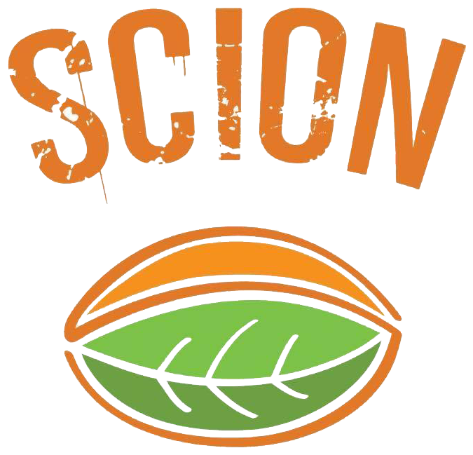 Usa Rugby Club 7s National Championships - Scion Rugby (880x660), Png Download