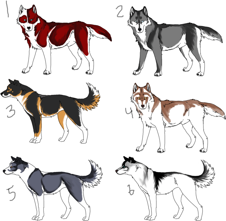 Dog Sled Drawing At Getdrawings - Perro De Trineo Raza (894x894), Png Download
