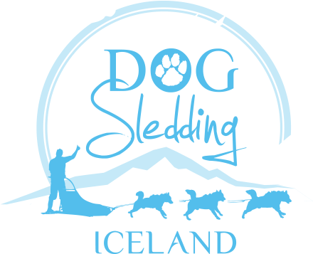 Dog Sledding Iceland, Home Is Where The Dogs Are Dog - Guide To Iceland (500x406), Png Download
