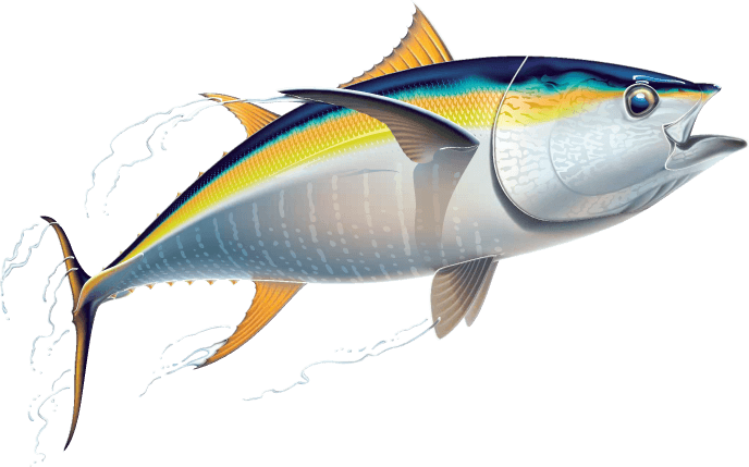 Tuna Clip Art (688x429), Png Download