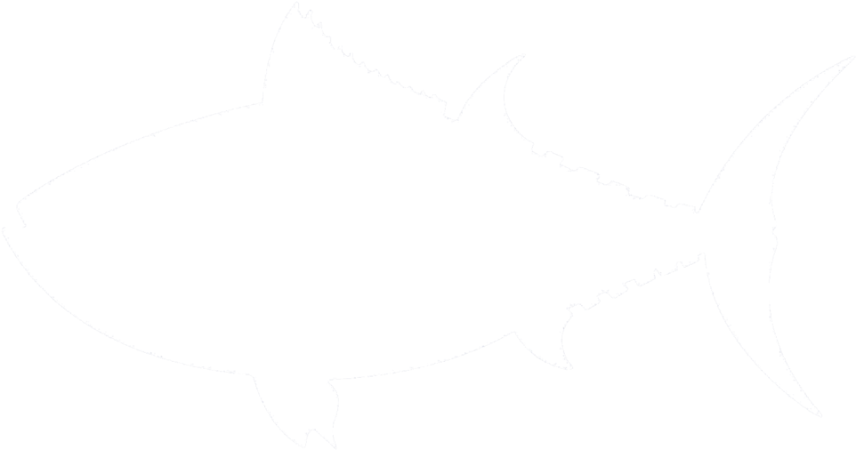 Fish-white - Atlantic Mackerel (1000x549), Png Download