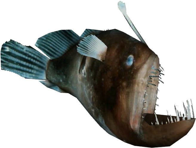 Humpback Anglerfish - Anglerfish (656x656), Png Download
