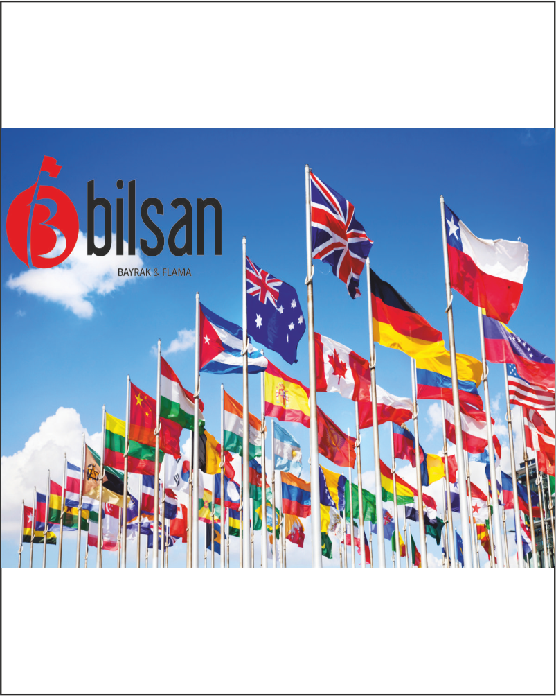 Ülke Bayrakları Bilsan - Global Marketing For Small Business? (803x1004), Png Download