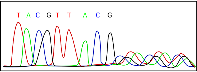 #13 New Dna Sequencing Device - Electropherogram (640x320), Png Download