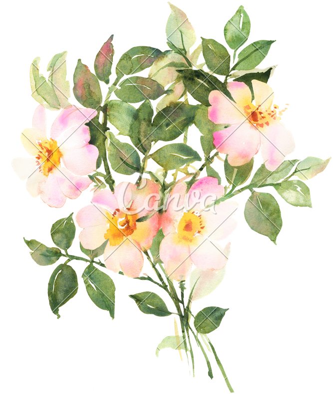 Botanical Watercolor Painting - Watercolor Painting (667x790), Png Download