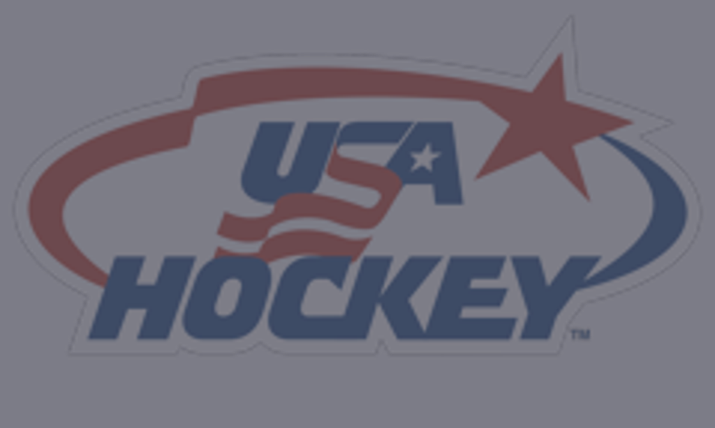 Usa Hockey Registration - Team Hockey Usa (1024x614), Png Download