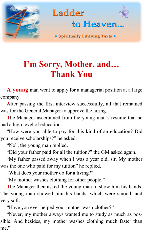 I'm Sorry, Mother, And - Magnet 28 Day Challenge: A Challenge A Day To Ch (640x924), Png Download