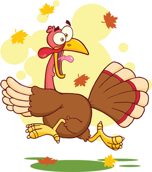 1 - Turkey Cartoon (800x600), Png Download