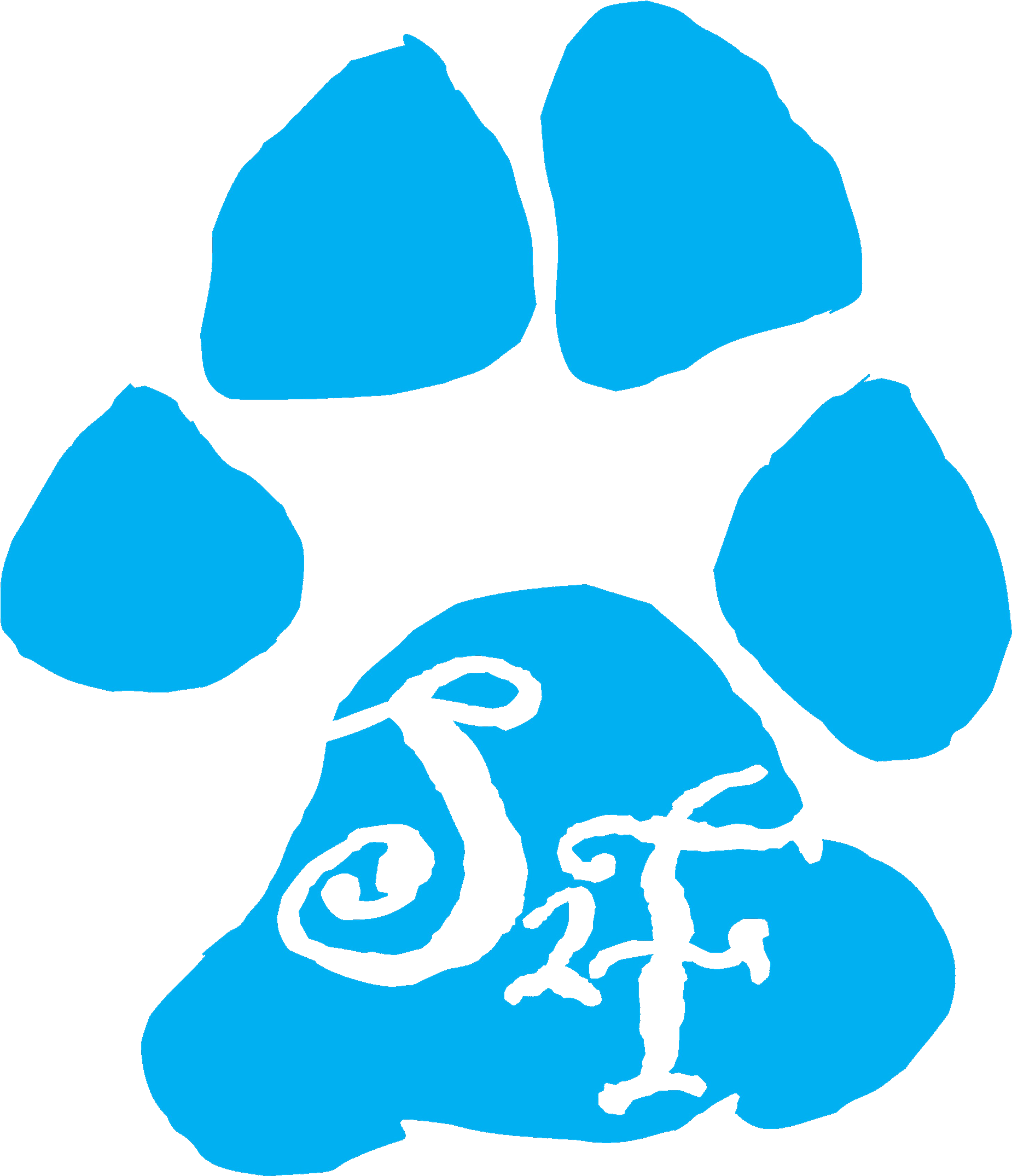Scruffy 2 Fluffy (2182x2377), Png Download