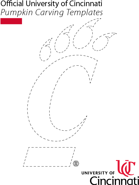 Bearcats - Cincinnati Bearcats Pumpkin (612x792), Png Download