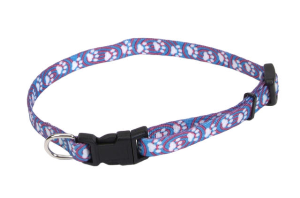 764-41013 - Coastal Pet Products Coastal - Lil Pals Nylon Adjustable (600x600), Png Download