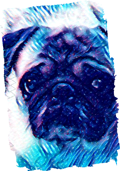 Model Image Graphic Image - Pug (424x606), Png Download