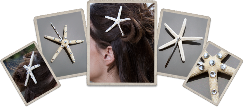 { The Starling Hair Pin } - Starfish (978x430), Png Download