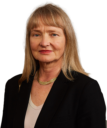 Anita Geser - Wisconsin Lawyers Mutual Insurance Company (450x532), Png Download