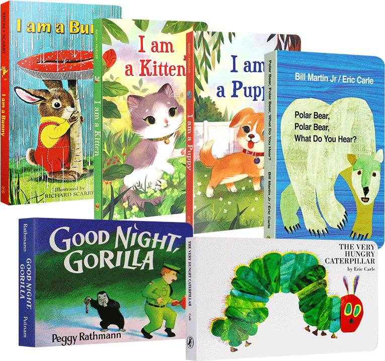 English Original Picture Book The Very Hungry Caterpillar - Very Hungry Caterpillar (800x800), Png Download