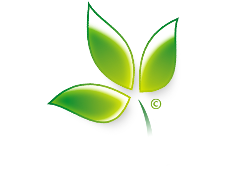 Transparent Png - Paperless Logo (500x400), Png Download