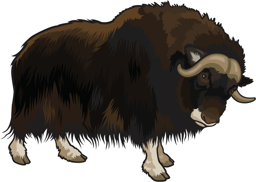 Free Png Buffalo Png Images Transparent - Buffalo Png (850x609), Png Download