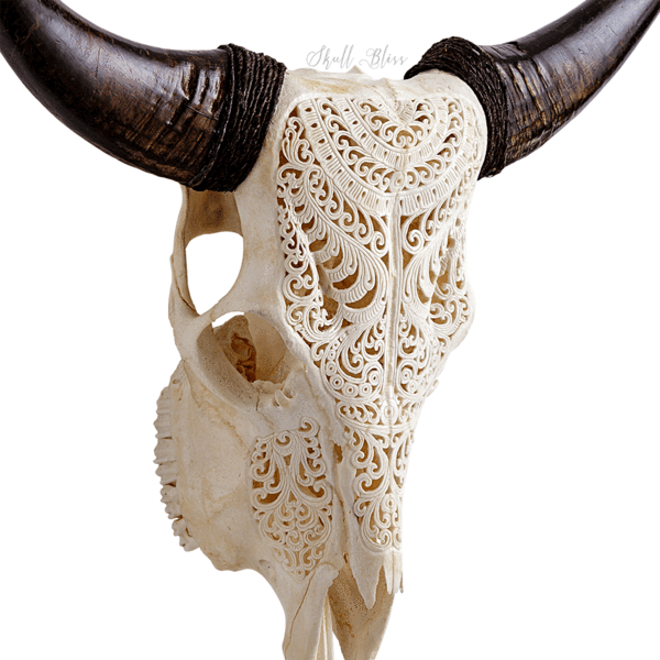 Carved Cow Skull Xl Horns - Cattle (600x600), Png Download