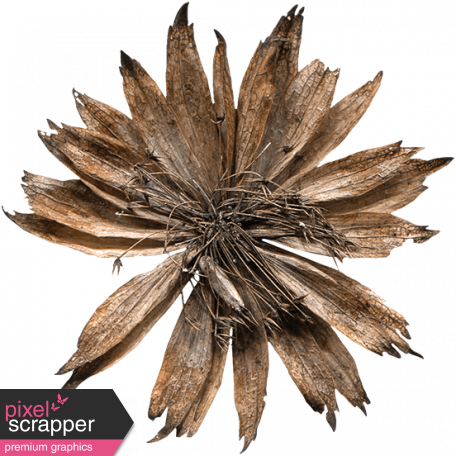 Dried Flower - Digital Scrapbooking (456x456), Png Download
