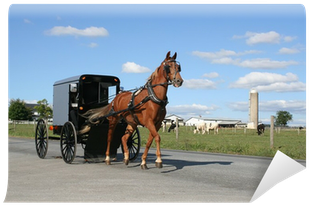 Philadelphia Amish Village Hotel (400x400), Png Download