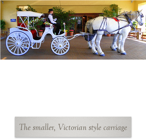 Prev Next - Horse (500x500), Png Download