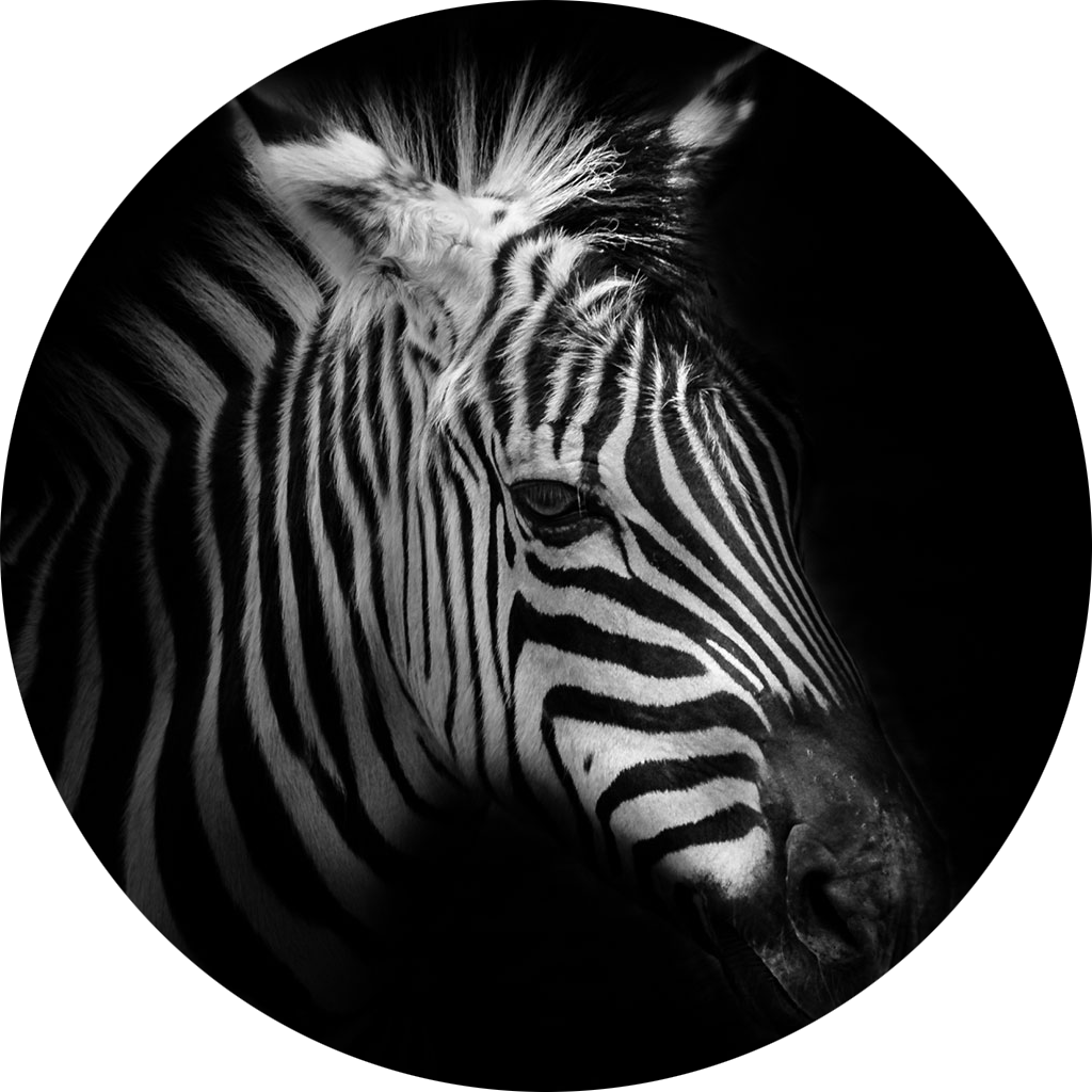 Kalendář Nástěnný 2017 - Moments Of The Nature (1024x1024), Png Download