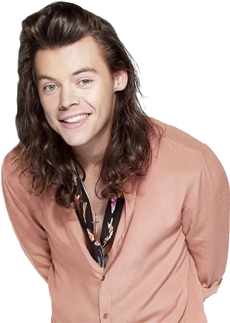 Harry Styles Png - Harry Styles Rose Gold (480x672), Png Download
