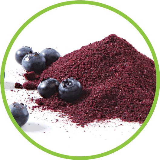 Blueberry - Freeze Dried Blueberries Powder (562x562), Png Download