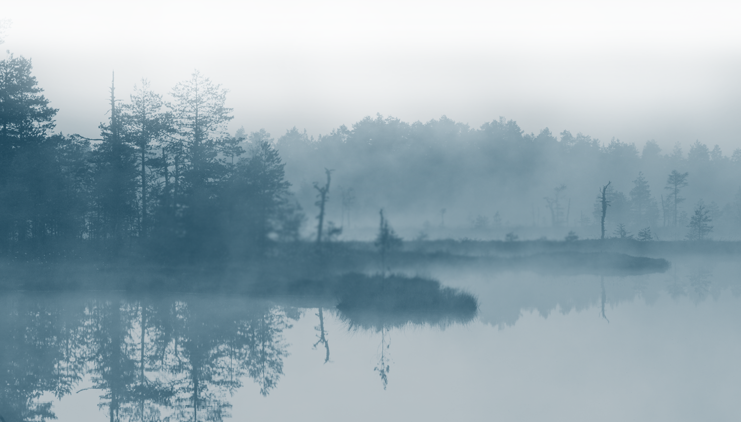 Save Our Wetlands - Mist (1492x850), Png Download