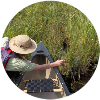 Field (373x360), Png Download