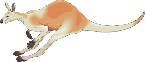 Small - Jumping Kangaroo Clipart Gif (600x256), Png Download