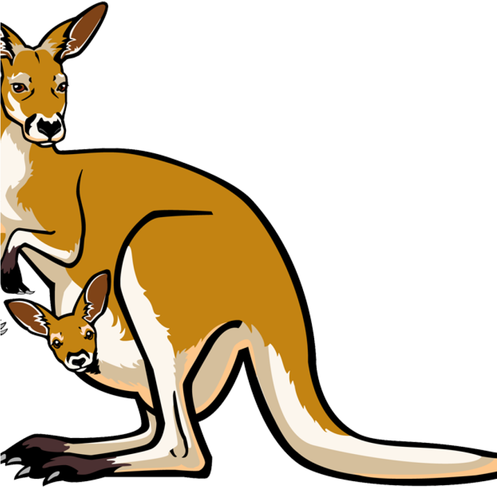 Kangaroo Clipart Santa Clipart Hatenylo - Kangaroo Clipart Png (1024x1024), Png Download