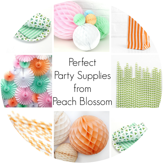 Stylish Party Decorations With Peach Blossom - Pastel Paper Ball Decorations (600x600), Png Download