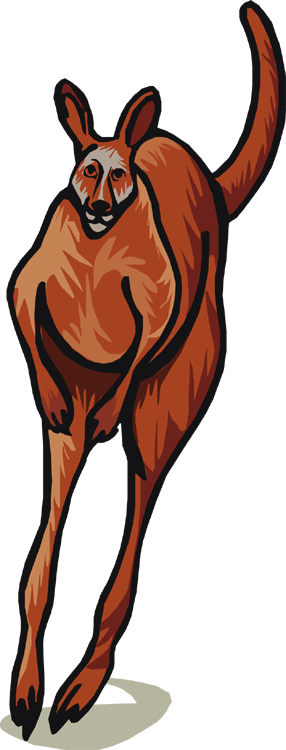 Kangaroo Hopping - Clip Art (286x750), Png Download