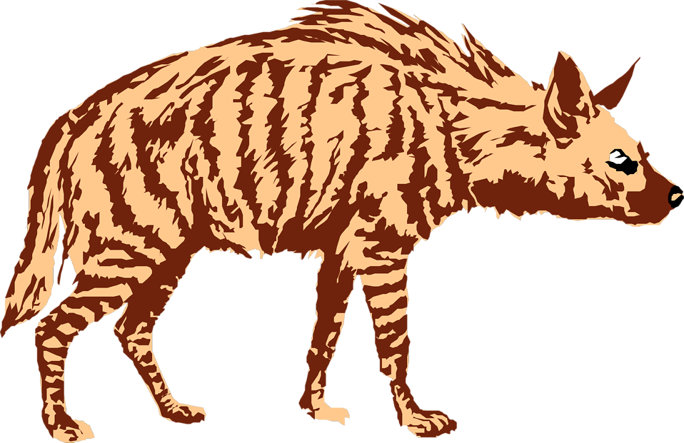 Hyena Png - Striped Hyena Transparent Background (958x621), Png Download