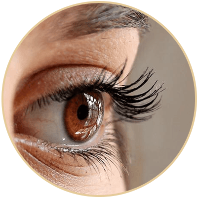 Eyelashes And Eyebrows From The Art Of Beauty - Crash (401x400), Png Download