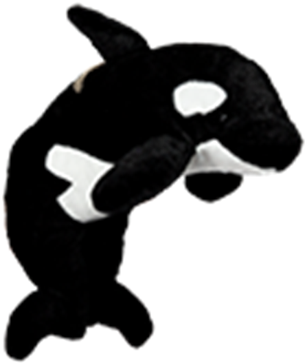 Baby Orca Whale - Killer Whale (520x600), Png Download