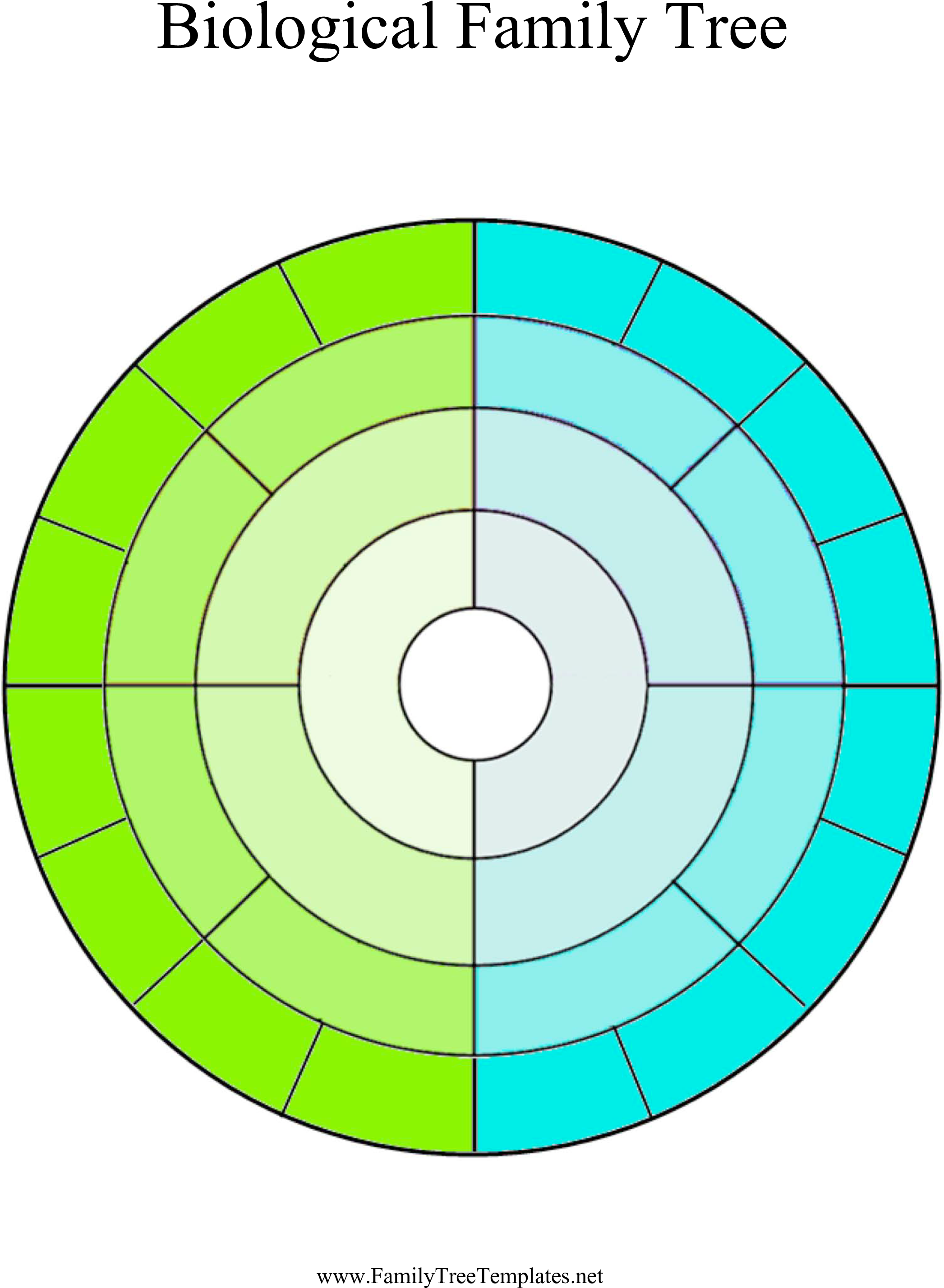 Circle Clipart Genealogy Ancestor Family Tree Png - Circle (2093x2855), Png Download
