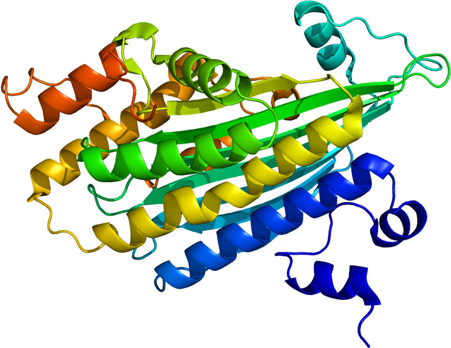 Protein Cpox Pdb 2aex (955x748), Png Download