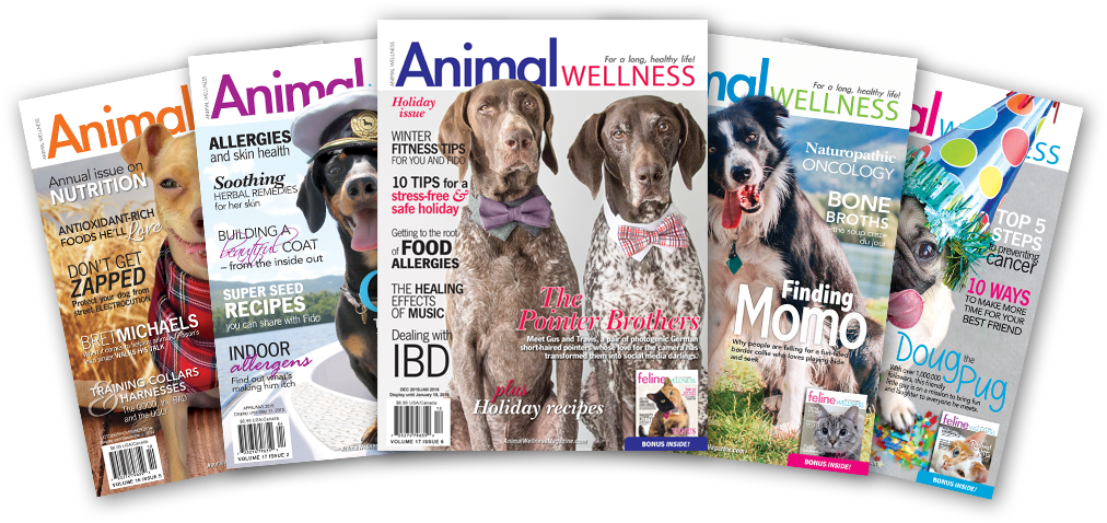 Aw Magazine Covers Fan - Magazine (1227x617), Png Download