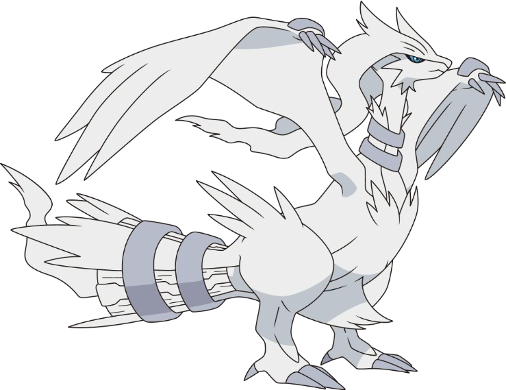 643reshiram Bw Anime - Pokemon Black And White Sleeve Kit - Black (ds Lite/dsi/3ds) (739x569), Png Download