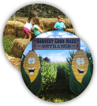 About The Hayride - Pennsylvania (334x367), Png Download