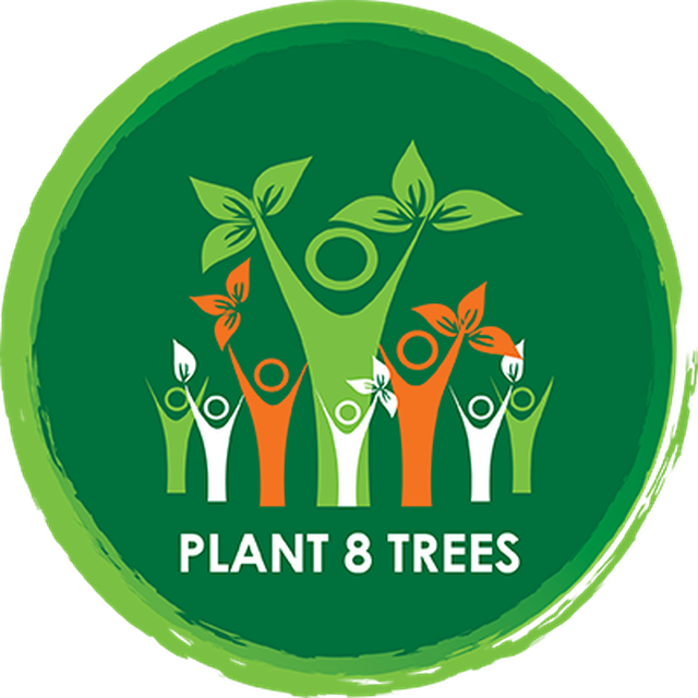 Top Of Tree Png (640x640), Png Download