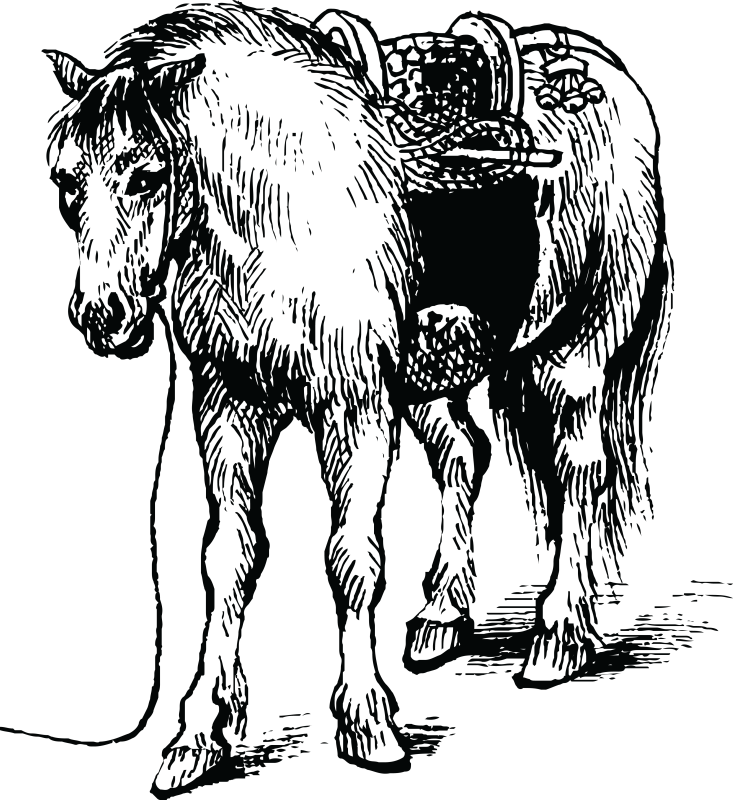 Pin Horse Png Clipart - Dibujo En Blanco Y Negro De Ciencia Y Tecnologia (733x800), Png Download