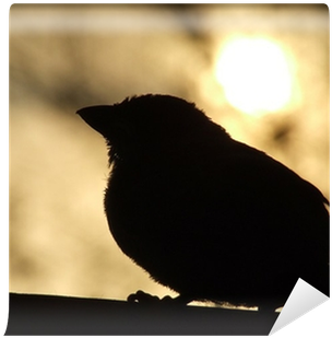 Sunset (400x400), Png Download