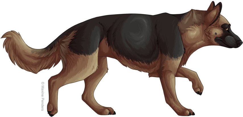 Ty'dus - German Shepherd Art Png (900x498), Png Download
