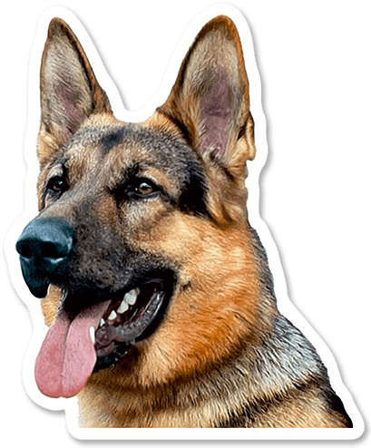 Car & Motorbike Stickers - German Shepherd Dog Portrait Counted Cross Stitch Pattern (413x500), Png Download