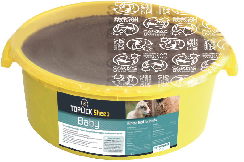 Toplick Sheep Baby - Horse (886x591), Png Download
