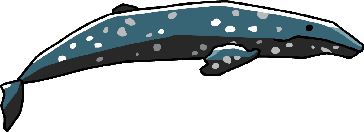 Cetacea Png Image - Clip Art (1198x458), Png Download
