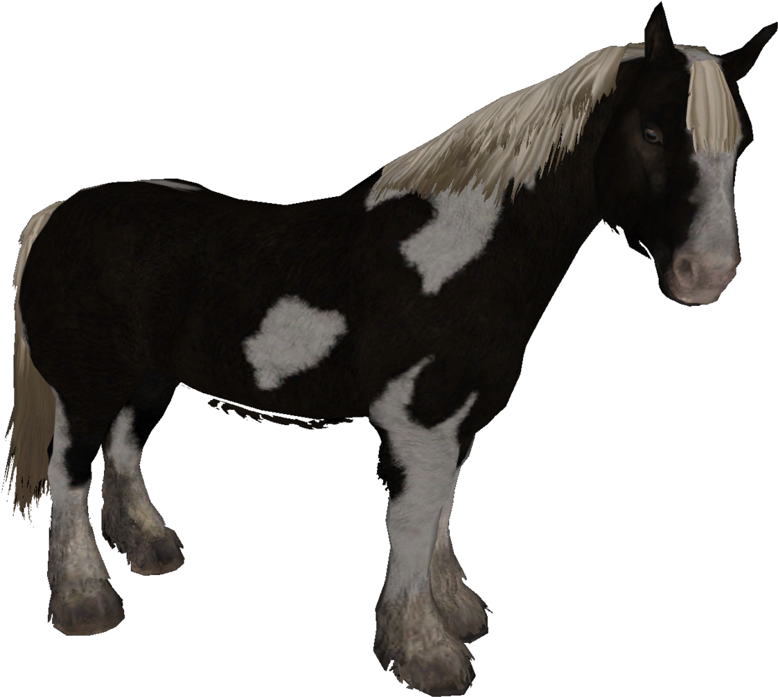 File Size - Skyrim Horse Types (1200x1047), Png Download